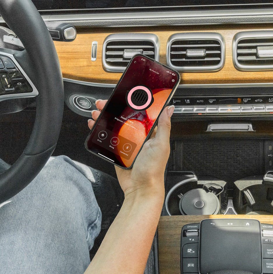 Bridgewater + Pura Car Diffuser Cartridge Sweet Grace