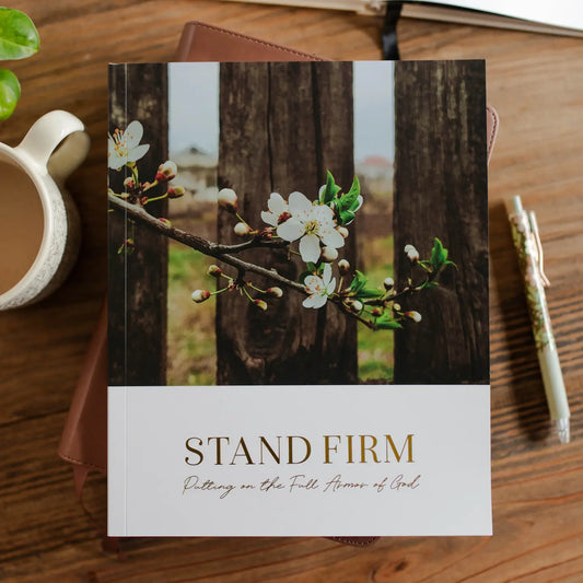 Stand Firm in The Armour of God Bible Study